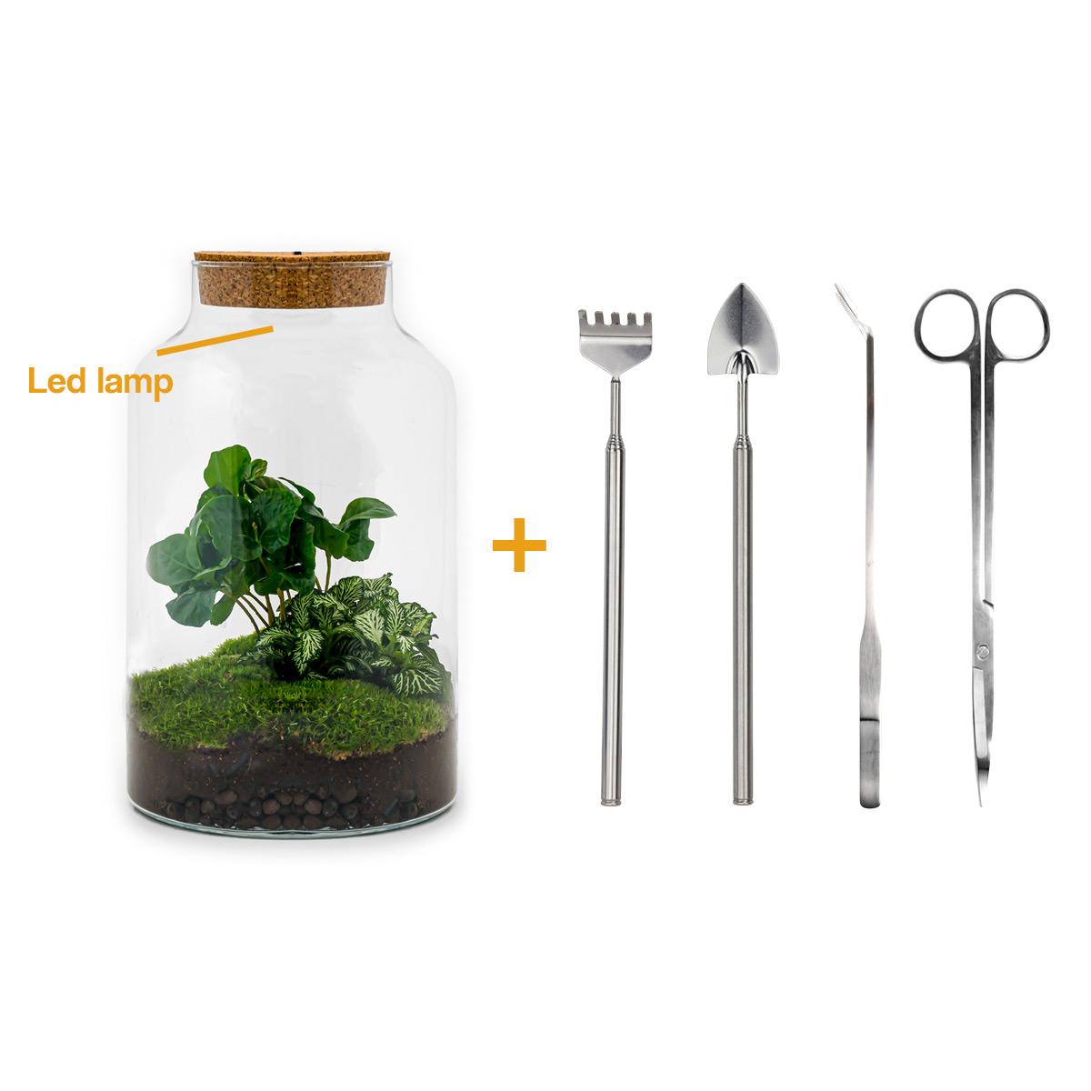 Flaschengarten – Milky Coffea mit Lampe – 31 cm – Rechen + Schaufel + Pinzette + Schere