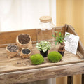 Terrarium „Little Milky“ – mit LED-Lampe – 25 cm - Botanic-Vibes