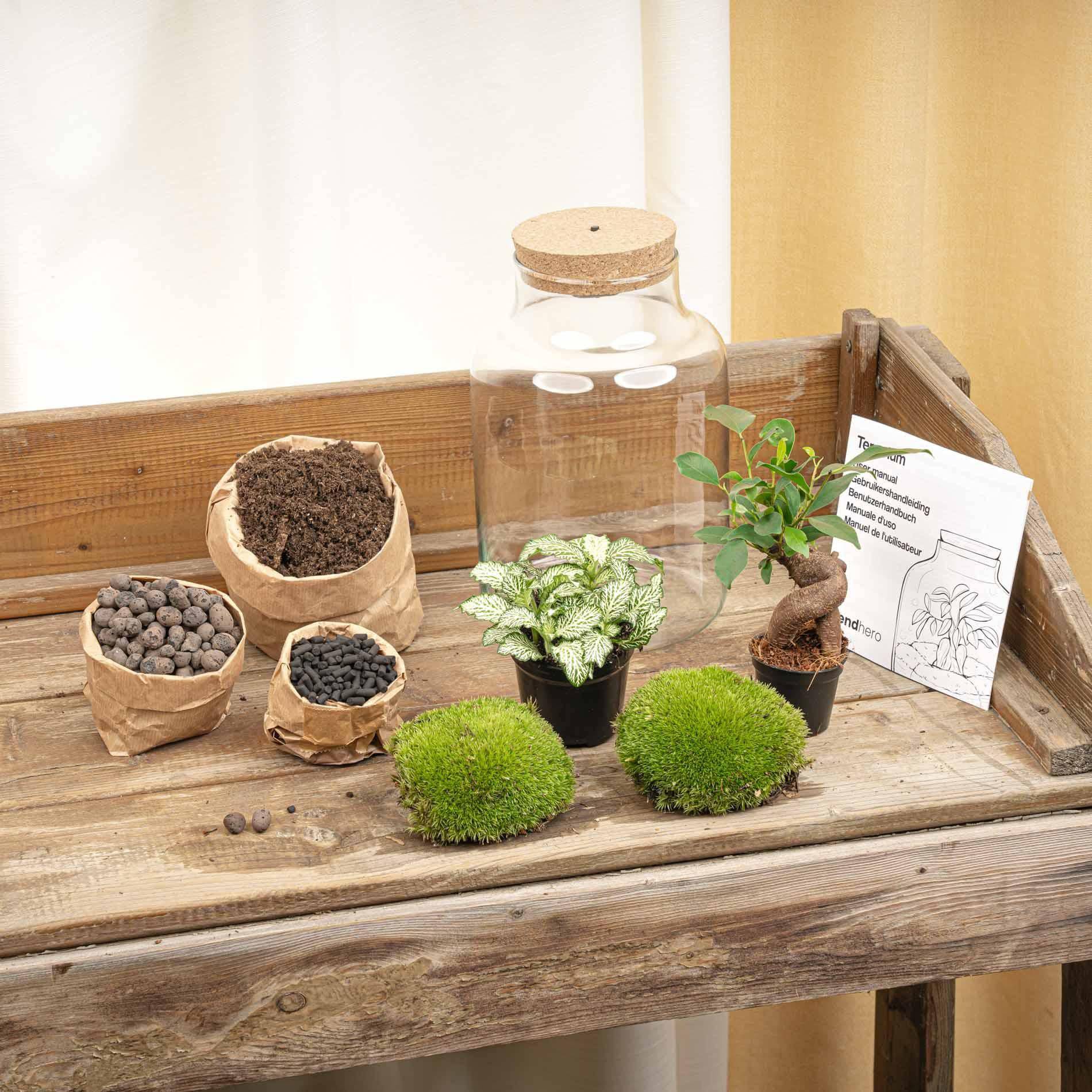 Terrarium „Little Milky“ – mit LED-Lampe – 25 cm - Botanic-Vibes