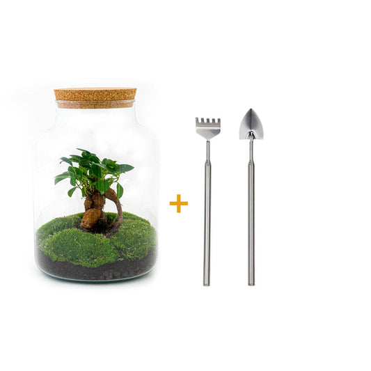 Flaschengarten – Milky mit Bonsai – 30 cm – Rechen + Schaufel