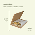 Trockenblumen im Briefkasten, Natural