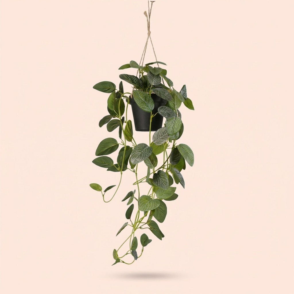 Fittonia, Hängepflanze im Topf, 70 cm, Kunstpflanze